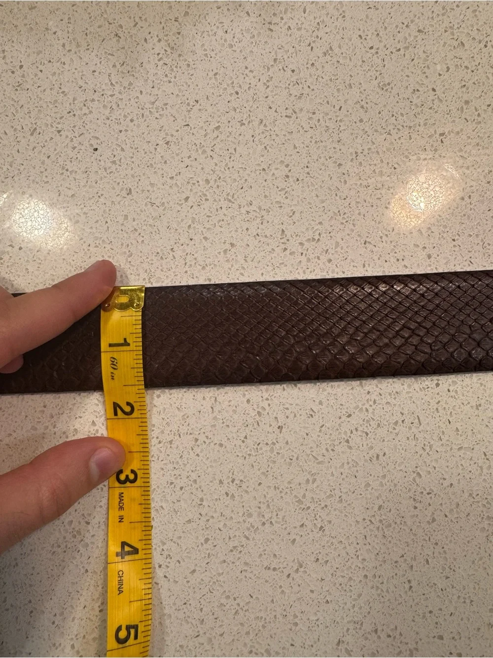 W. Kleinberg Genuine Python Snakeskin Belt Brown Silver Buckle